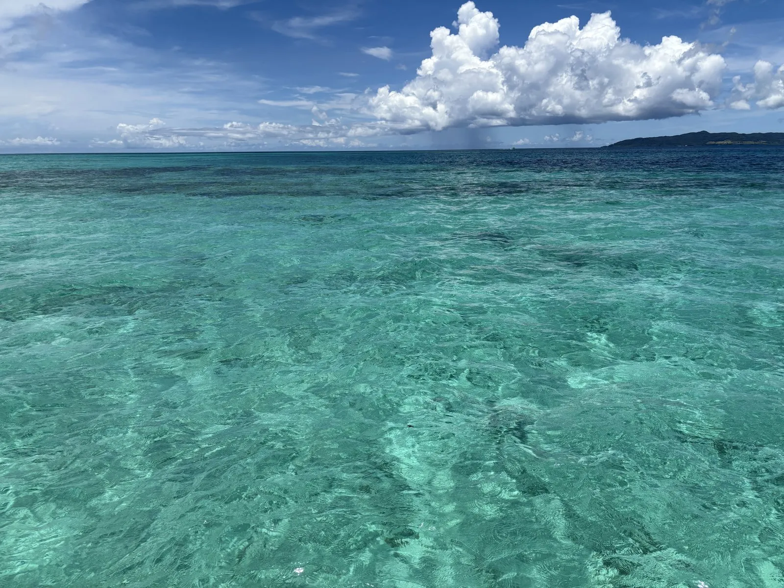 浜島へ向かうボートから見たエメラルドグリーンの海。ところどころ暗く見えるのはサンゴの群落