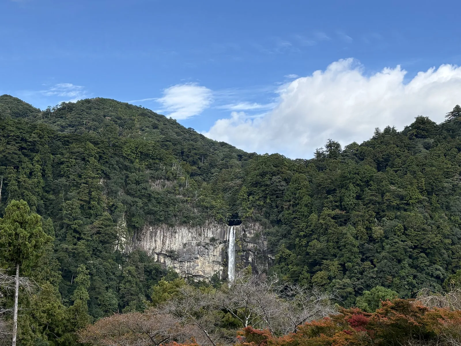 山の緑のなか、岩壁をまっすぐ落ちる那智の滝の遠景