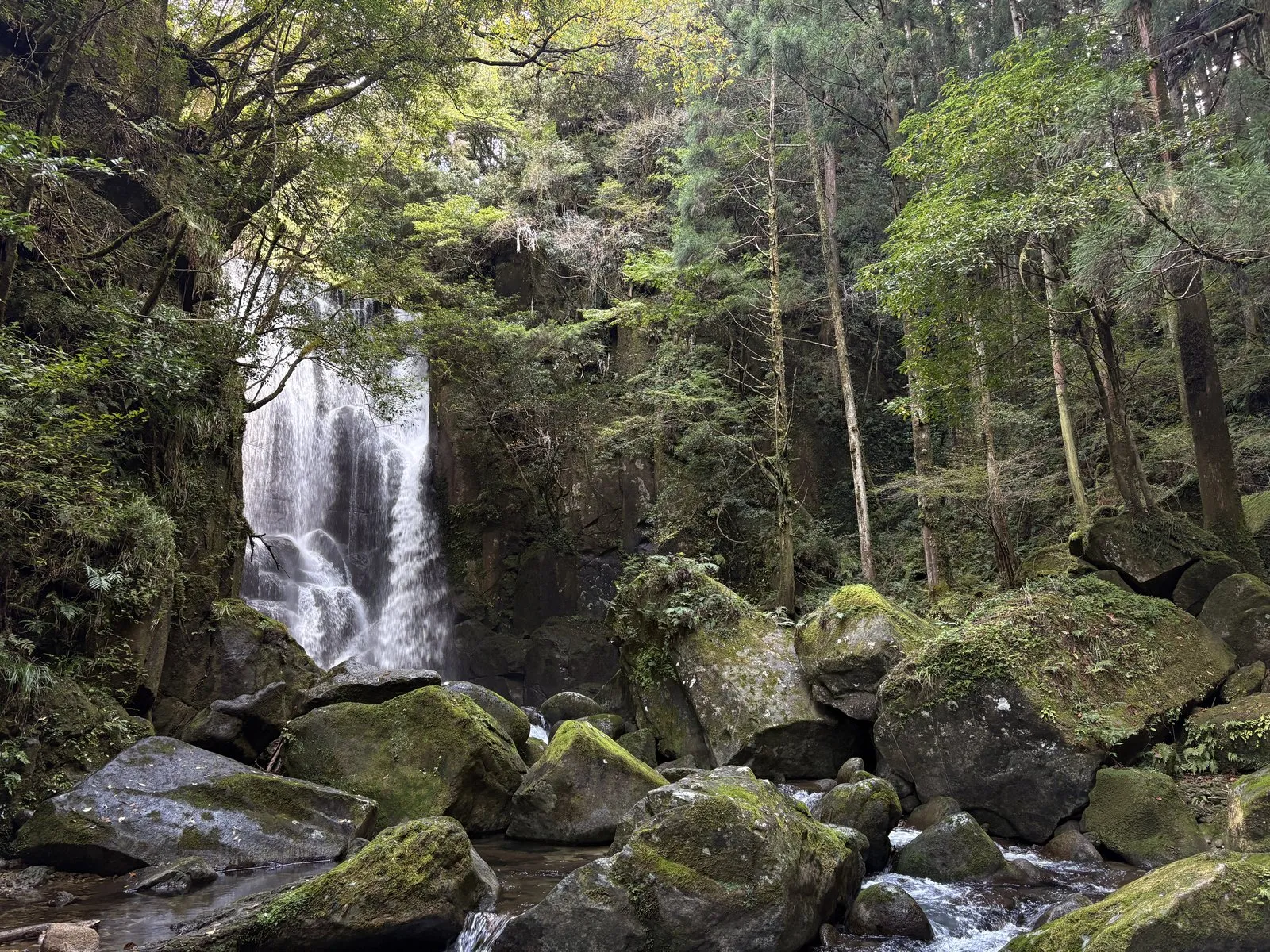 苔むした岩の奥に、白く落ちる桑ノ木の滝