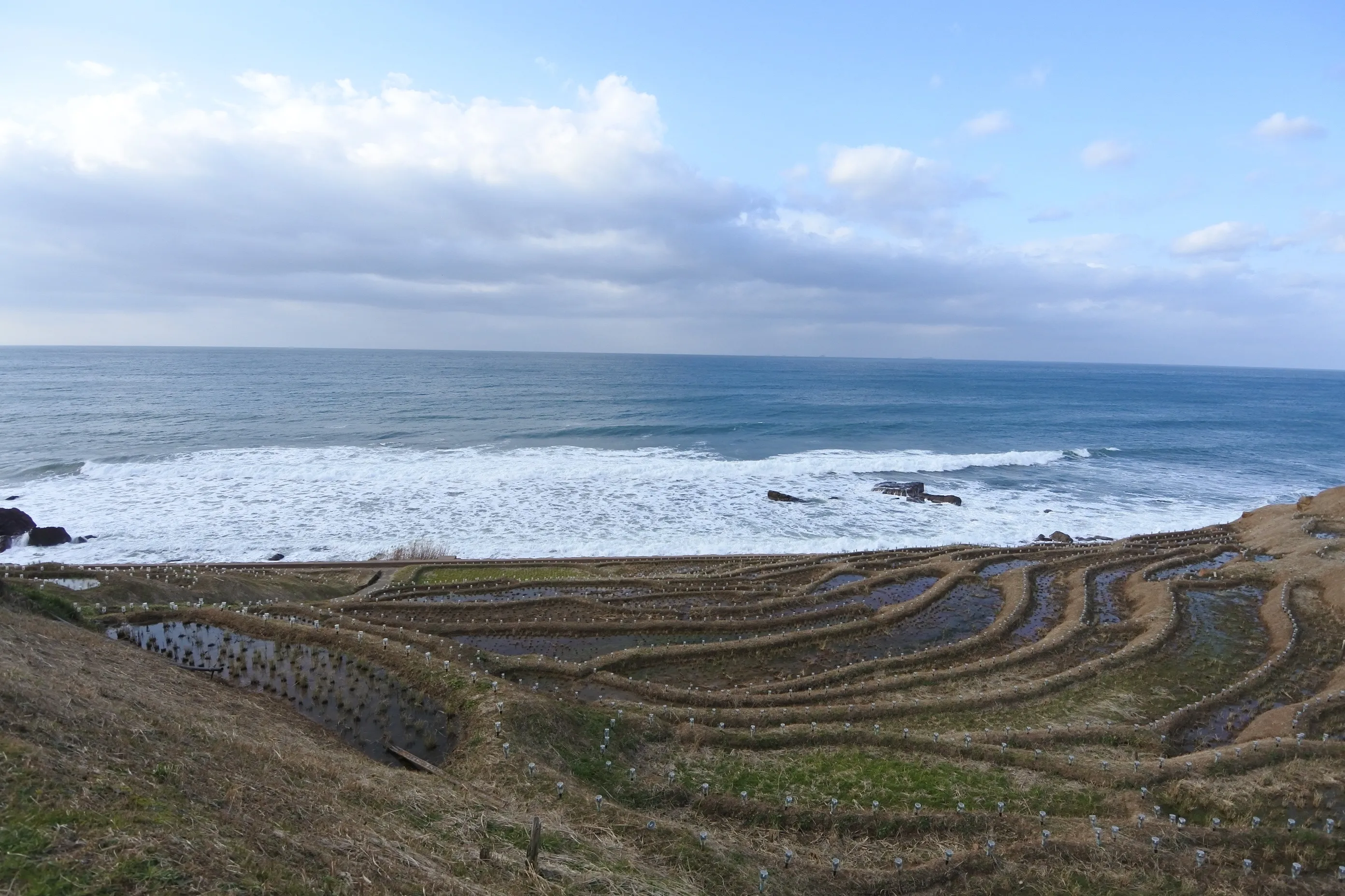 白米千枚田の全景。急斜面に段々と連なる棚田の向こうに、日本海が広がる