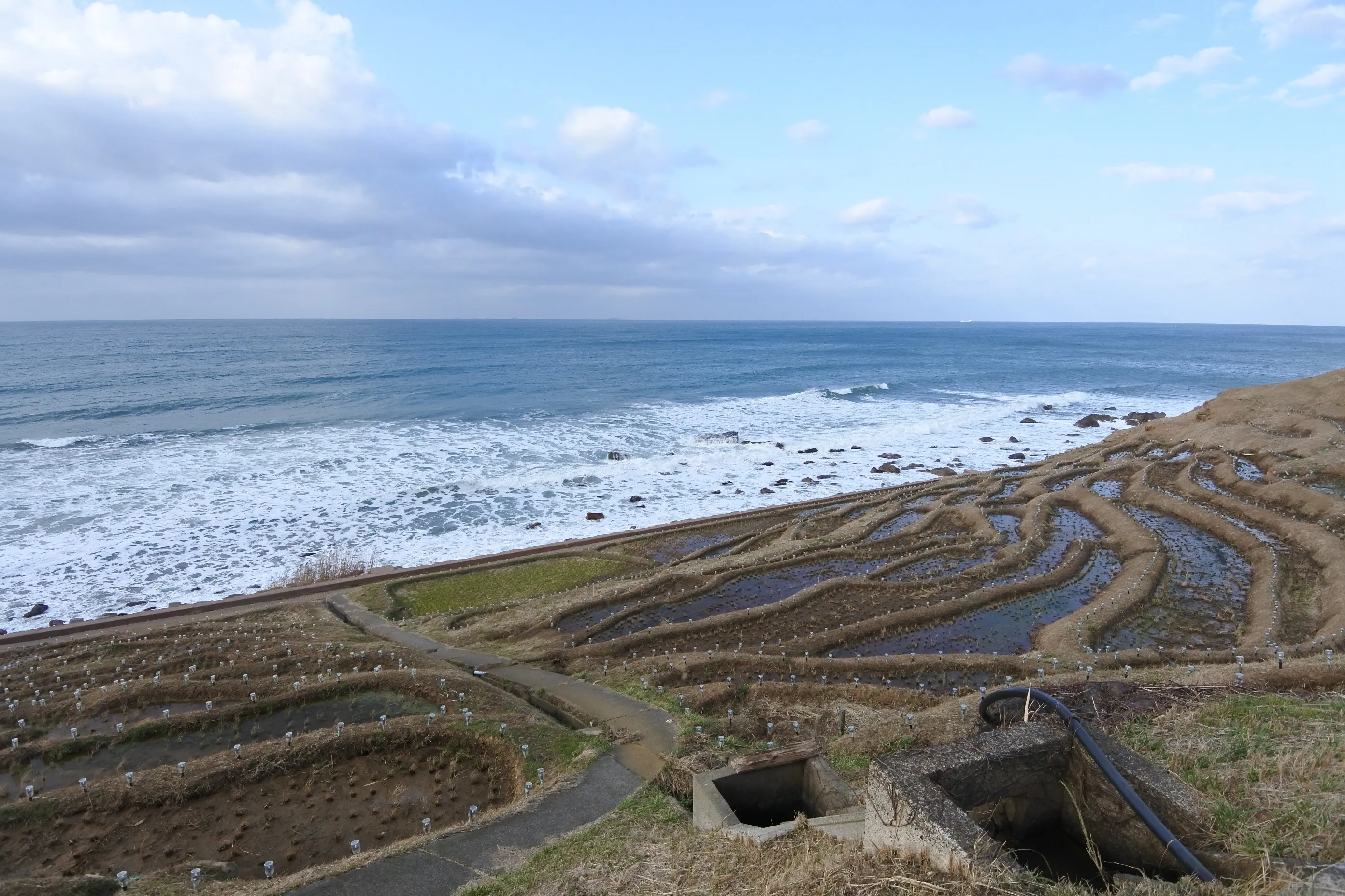 棚田の一角。冬の寒さの中で、田の曲線が海へと流れていく