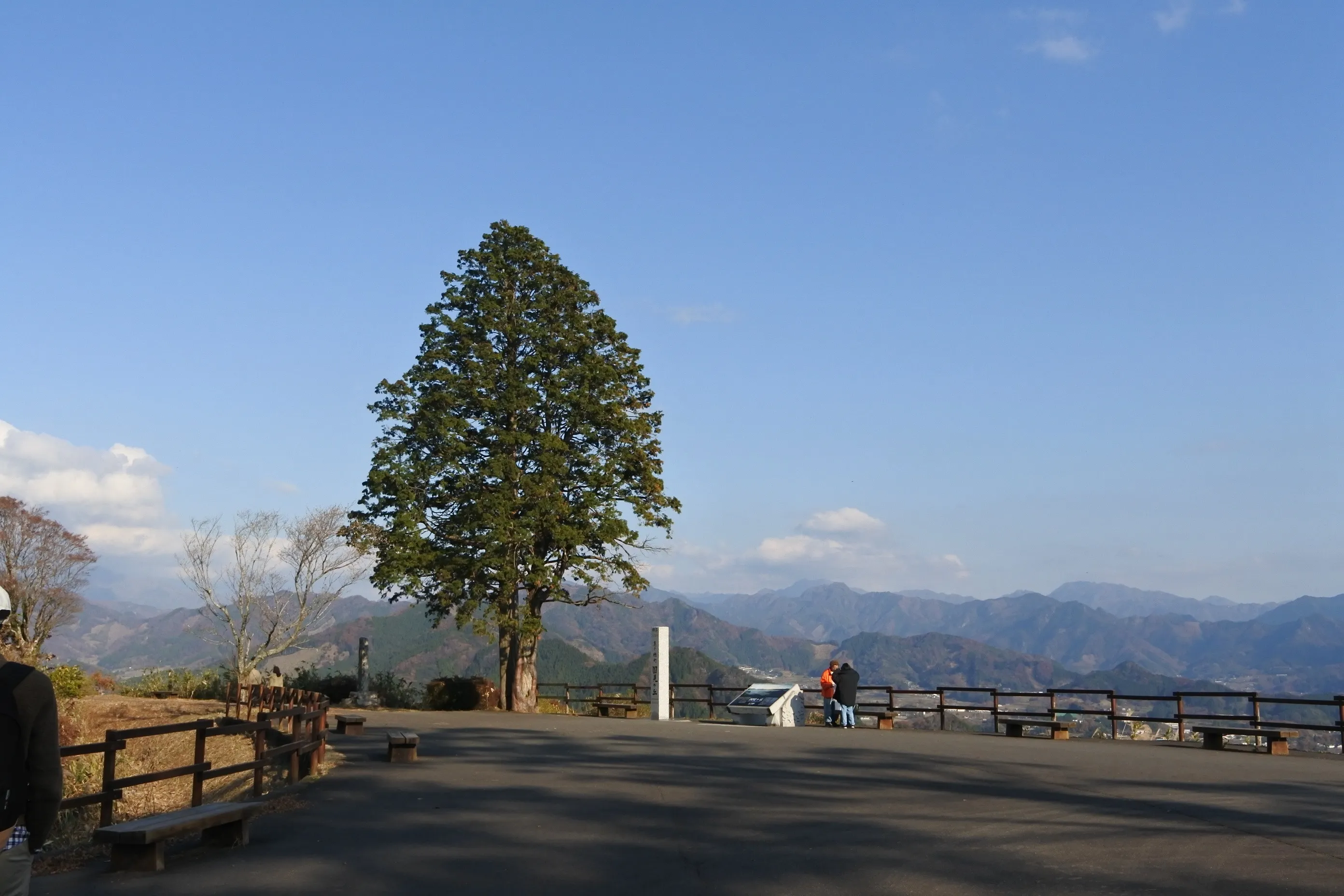 Large tree and mountains at Kunimigaoka Observatory
