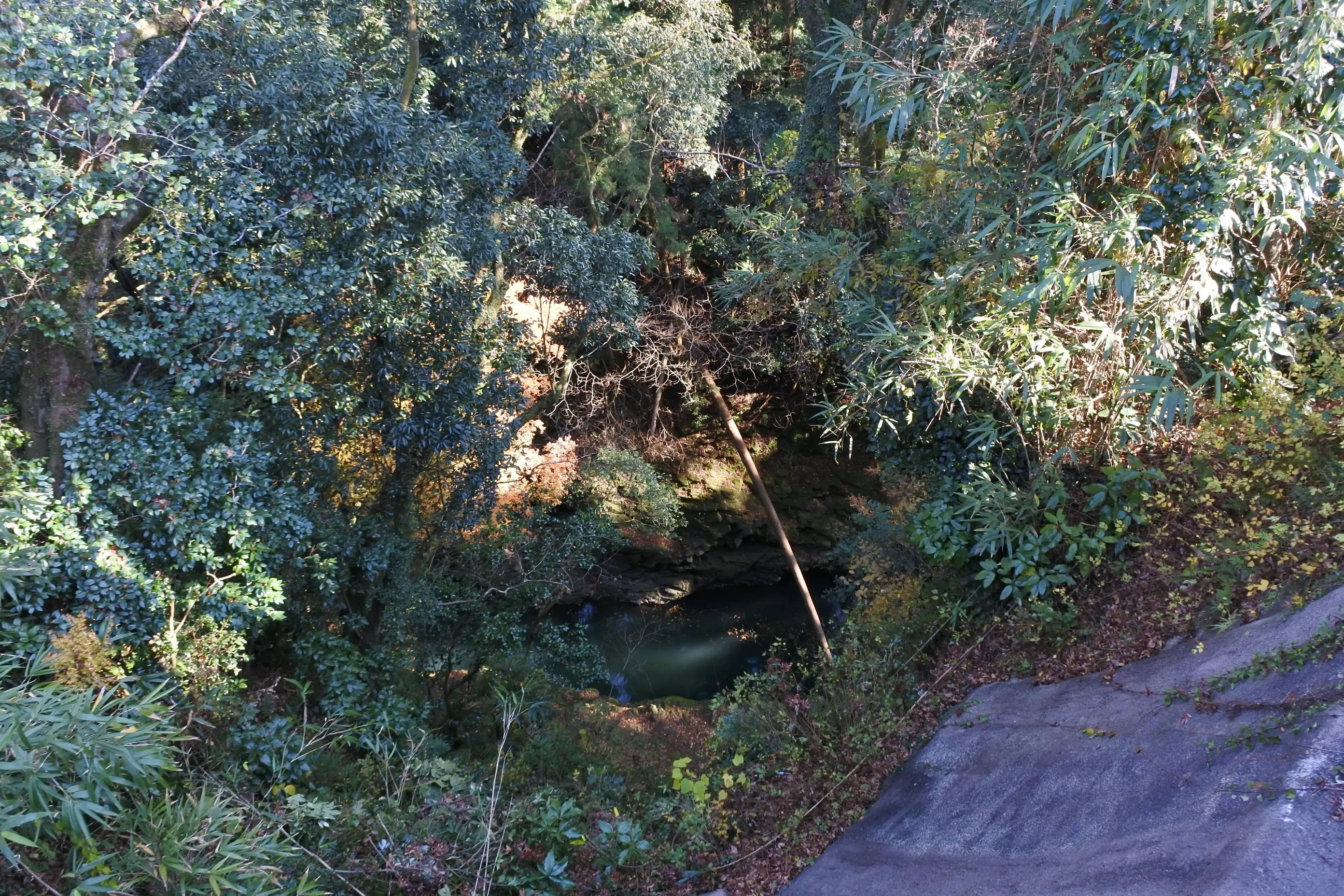 Forest and stream at Amano Yasukawara
