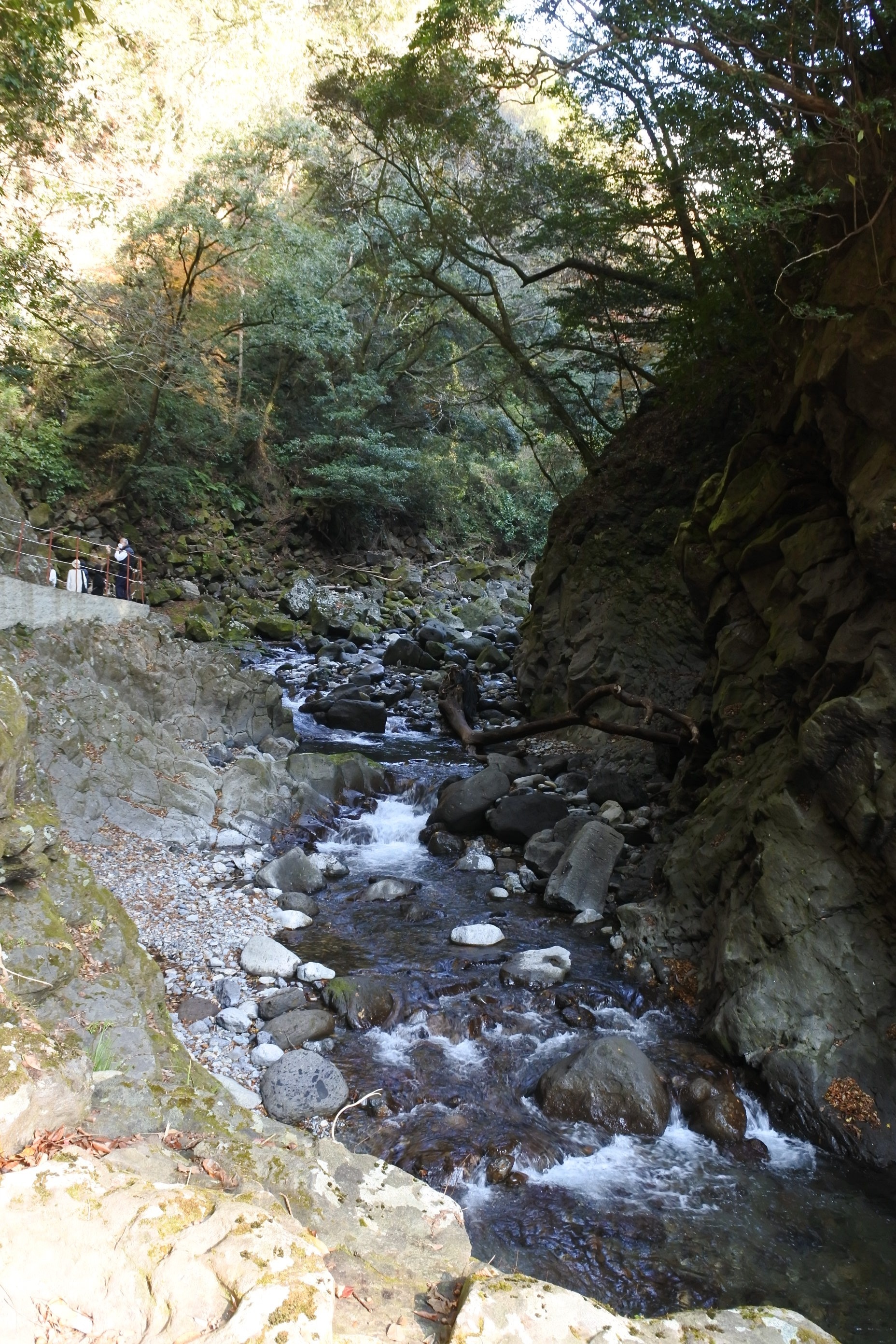Water seeping from rock walls at Iwato Shrine area